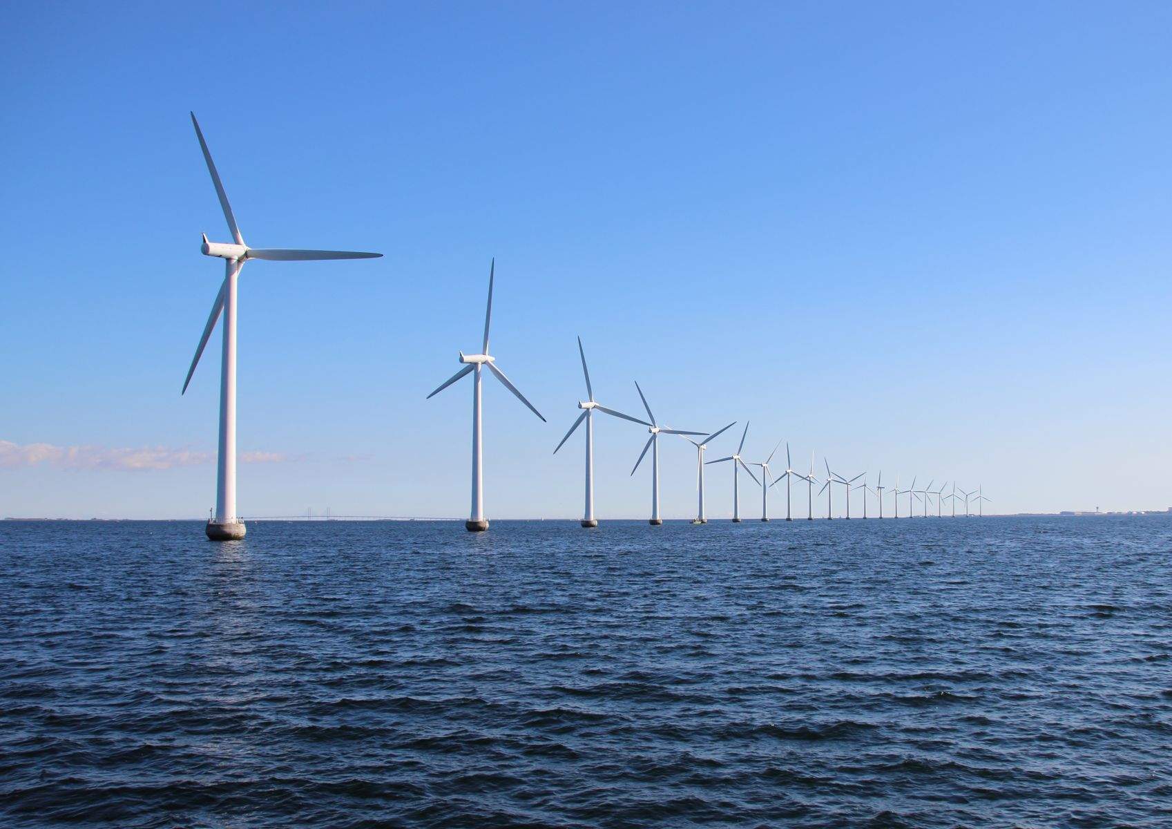 離岸風電與生態平衡：台灣海峽的綠能實驗
